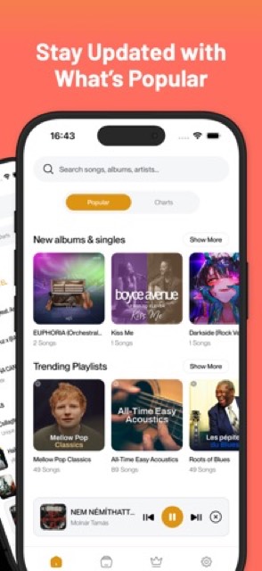 Music Player : Song, Video — App Store screenshot 2