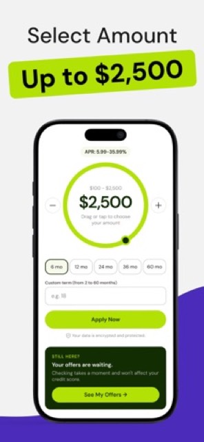 Money Borrowing: Cash Advance — App Store screenshot 4
